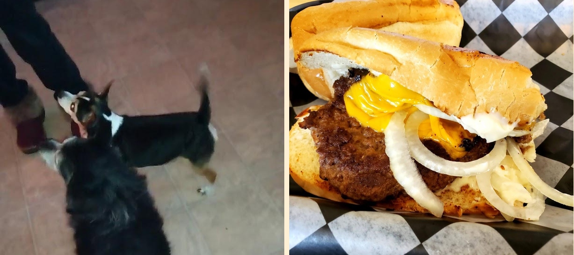 Angelo's Pizza Restaurant Seafood & Steamer Bar Menu